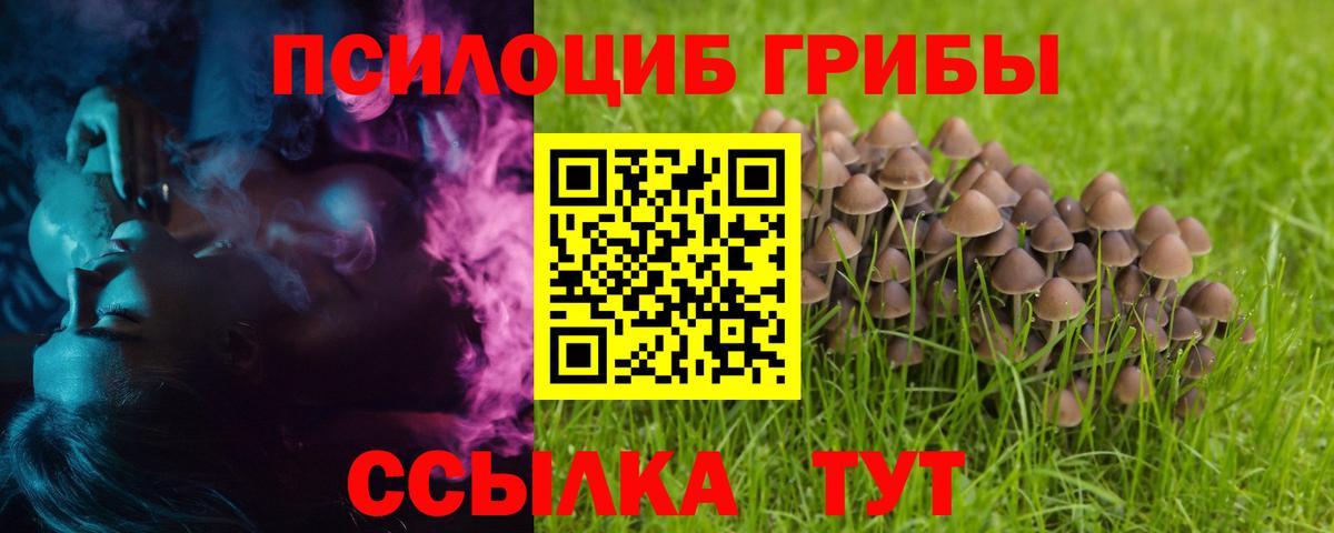 где продают   Вход с VPN  Дзержинский  Галлюциногенные грибы MAGIC MUSHROOMS 